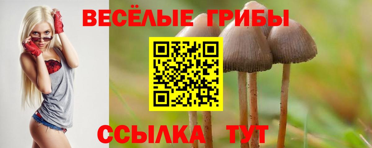 Псилоцибиновые грибы MAGIC MUSHROOMS Нижневартовск
